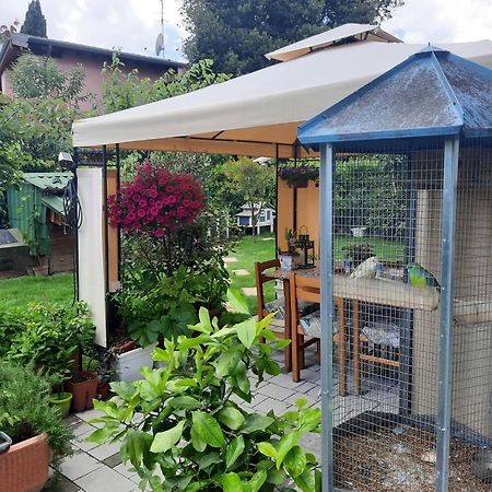 New Bedrooms Mamma Gigetta Noventa di Piave Exterior foto